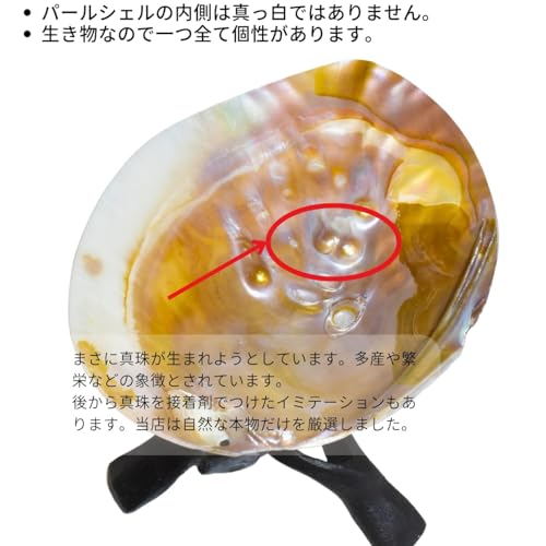 41xpCoMU+CL.jpg